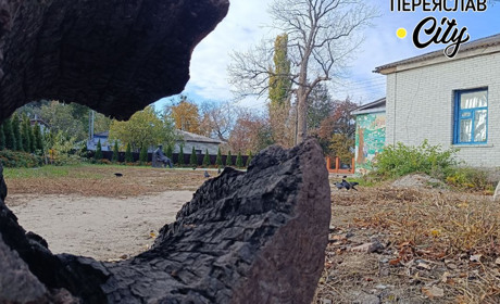 Переяслав уперше моніторить програма "Прозорі міста": взаємодія з громадськістю, бюджет, кадри тощо