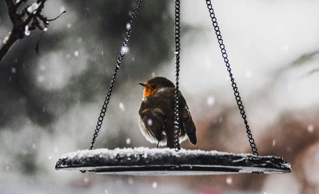 Погода в Кагарлику та Ржищеві на тиждень - із 2 по 8 грудня