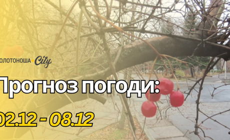 Європейська зима: тепло, туман і трохи сонця