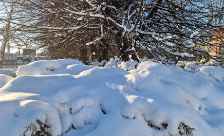 Замело: зберіть пазли та замилуйтеся зимою у Старокостянтинові
