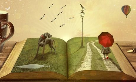 Можна донатити, можна платити за комірне, а можна й читати! Як придбати книжки за «Зимову тисячу»