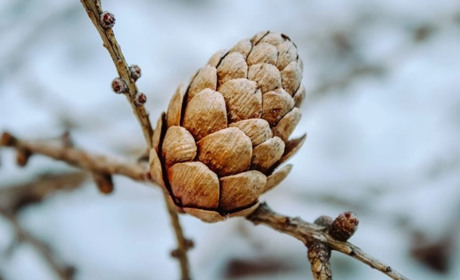 Погода у Старокостянтинові на 16-22 грудня: дощі та пориви вітру прогнозують синоптики