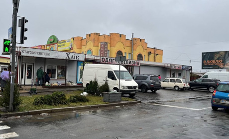 У Старокостянтинові вже продають новорічні ялинки: яка вартість