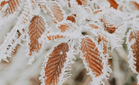 Погода в Кагарлику та Ржищеві на тиждень - із 23 по 29 грудня