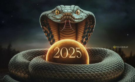 Гороскоп на 2025 рік: що готує нам рік під знаком Зеленої Дерев'яної Змії