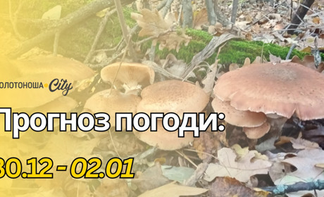 Хоч і аномальне тепло на свята, але морозам таки бути: зима контрастів