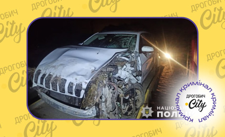 Нічне ДТП у Рихтичах: авто злетіло у кювет, пасажирка в лікарні