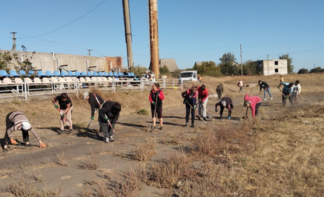 Шевченківська громада створює робочі місця: підбито підсумки працевлаштування у 2024 році