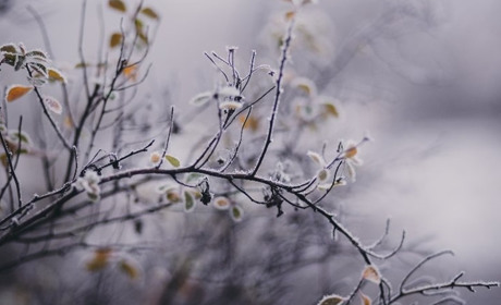 Погода у Старокостянтинові на 6-12 січня: тиждень буде теплим. Що там з опадами