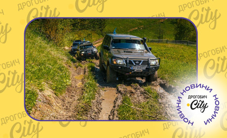 “Це популізм”: авторка петиції про врегулювання джипінгу прокоментувала закон про його заборону