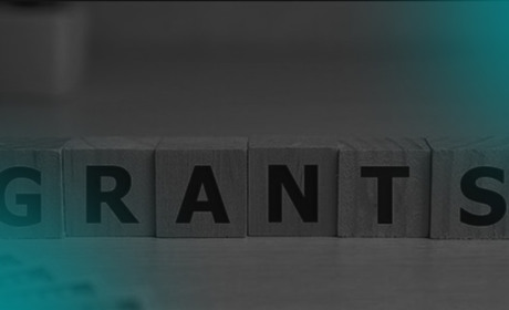 Гранти для аграріїв Гадяччини: можливість для розвитку власної справи, садівництва та теплиць