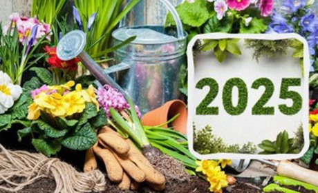 Посівний календар городника на лютий 2025 року