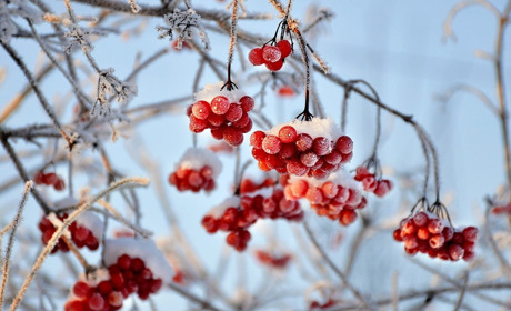 Погода в Старокостянтинові на 20-26 січня: тиждень буде теплим без істотних опадів