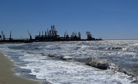 Окупанти заявляють, що у рибі з Чорного та Азовського морів слідів мазуту не виявлено