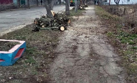 На Менщині зрізані гілки дерев використовують на опалення