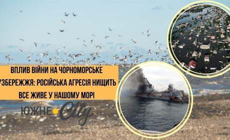 "Забруднення Чорного моря в умовах війни": російська агресія нищить все живе у Чорному Морі