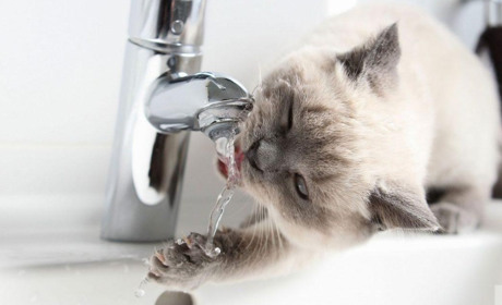 У Південному завтра відключать воду: які будинки залишаться без постачання (ПЕРЕЛІК)