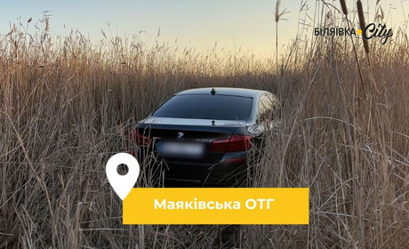 Мешканець Маяківської ОТГ напав на продавця авто з ножем і намагався позбутися тіла у водоймі
