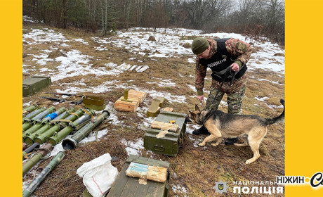 На Чернігівщині поліцейські виявили масштабні схрони з арсеналом зброї та боєприпасів