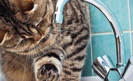 У Старокостянтинові не буде води: коли, чому та за якими адресами