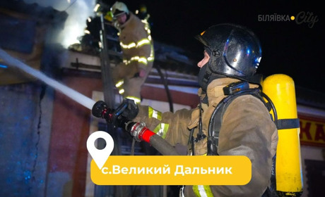 У Великому Дальнику одночасно горіли аптека, кафе, магазин. Пожежу гасили 40 рятувальників