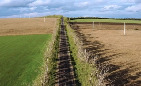 Право власності на земельні паї в окупації: що потрібно знати?