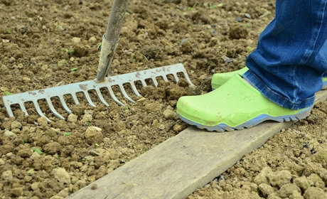 Підготовка ґрунту для розсади: простий рецепт ідеальної суміші