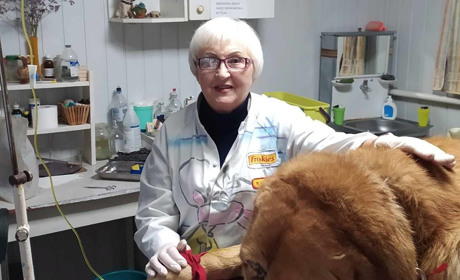 Відповідальність на плечах господарів. Інтерв’ю з ветеринарною лікаркою Любов’ю Бондар