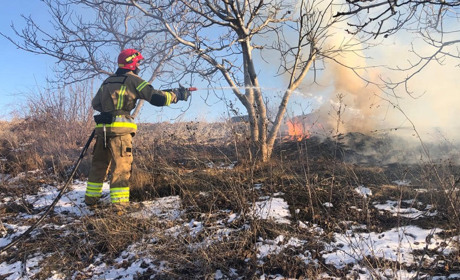 Вогонь навіть у морози нищить природу: у Подільському районі вигоріло 9 000 м²