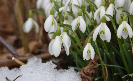 Кого вітати у березні 2025: іменини, календар державних та професійних свят