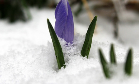 Які зміни чекають на українців у березні 2025: індексація пенсій, дешевші ліки, бронювання та штрафи