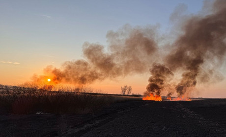 Пожежі на Кагарличчині не припиняються: вогонь нищить гектари очерету та майно громадян