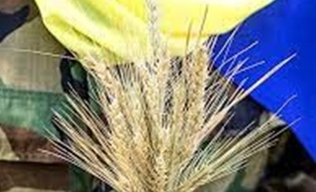 Щоденник війни. Тиждень сто п'ятдесят другий. Наступні чотири роки точно не будуть скучними