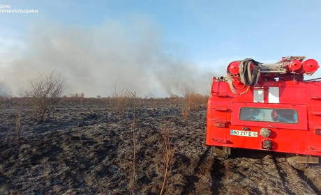 На Кременеччині протягом двох днів понад двадцять разів гасили займання сухої трави
