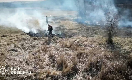 З початку тижня на Одещині згоріло 15 гектарів через пожежі сухої рослинності
