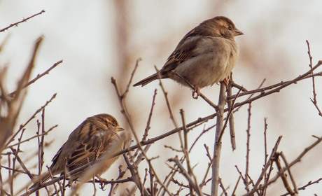 Погода у Старокостянтинові на 17-23 березня: коли чекати потепління