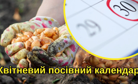 Посівний календар на квітень 2025 року