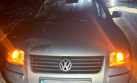 На Фастівщині водій спричинив смертельну аварію: загинув велосипедист