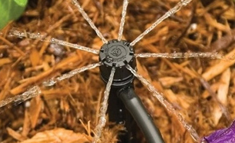 Як вибрати крапельний полив для теплиці?