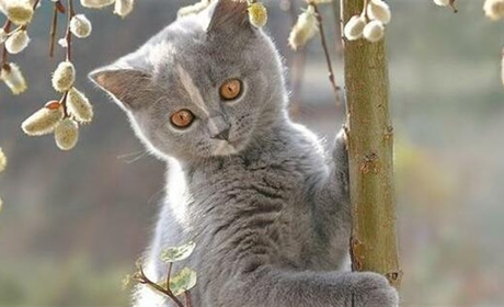 Що синоптики нам прогнозують...?