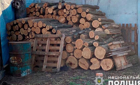 Збитки на понад один мільйон гривень: на Полтавщині затримали чотирьох нелегальних лісорубів