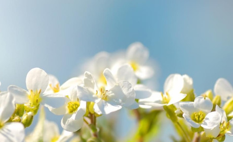 Квітневий календар 2025: визначні дні, державні та релігійні свята