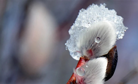 Від тепла до морозів: прогноз погоди