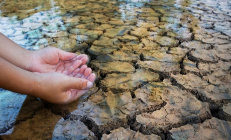 Україна без води: чому річки міліють і до чого це призведе вже цього року