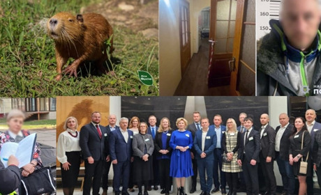 У сусідів: проникнення в будинок, грант на 2 мільйона, граната біля авто, облік тварин, вимагачі