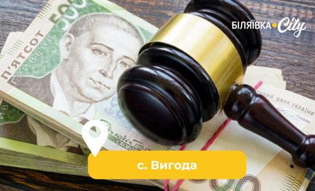 Біляївський суд оштрафував на 25,5 тис грн службовицю сільради з Вигоди за порушення норм закупівель