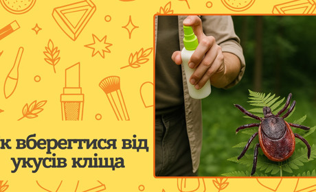 Як захиститися від кліщів? Ефективні поради та народні засоби