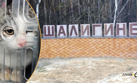За останні дні волонтери врятували з Шалигиного 16 тварин: потрібна допомога