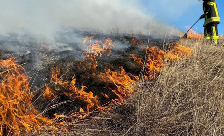 На Сумщині за добу ліквідували 18 пожеж сухостою, зокрема в Глухові