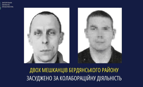 Двох мешканців Бердянського району засуджено за колабораційну діяльність